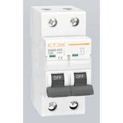 AC 2P Mini Circuit Breaker 63A